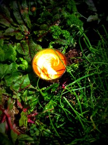 20120926_113350