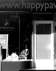 20130427_103923_20130427125147145_20130427131106901