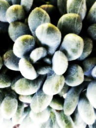 20130503_082602_20130503112609145