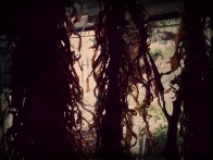 20130503_082907_20130503112505244