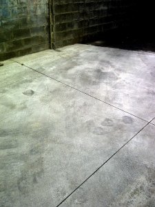 IMG-20120102-02101