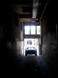 IMG00729-20101030-1406
