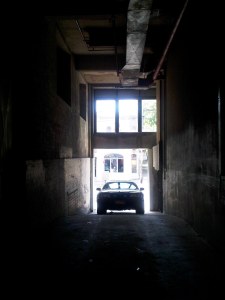 IMG00729-20101030-1406