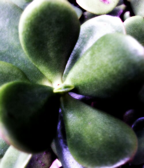 20130430_071929_20130430130652201.jpg image