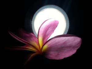 20130517_230027_20130517230126573