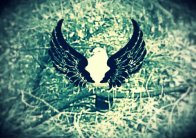20130602_132825_20130602134224993_20130602134553902_20130603133404521.jpg image