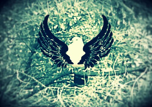 20130602_132825_20130602134224993_20130602134553902_20130603133404521.jpg image