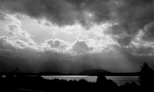 DSC_0178