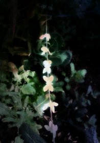 20130818_170457_20130818211000329.jpg image