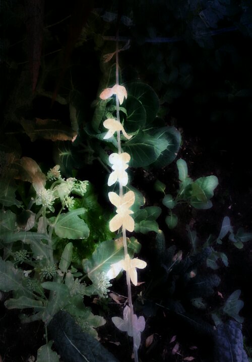 20130818_170457_20130818211000329.jpg image