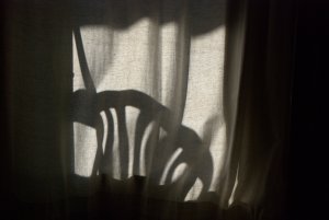 DSC_0015