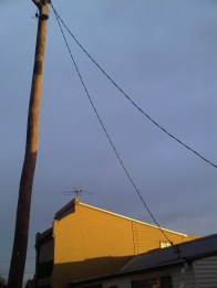 IMG00429-20100605-1630