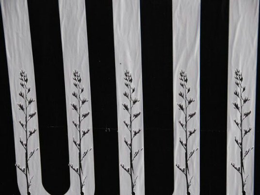 5963389920302754194.jpg image