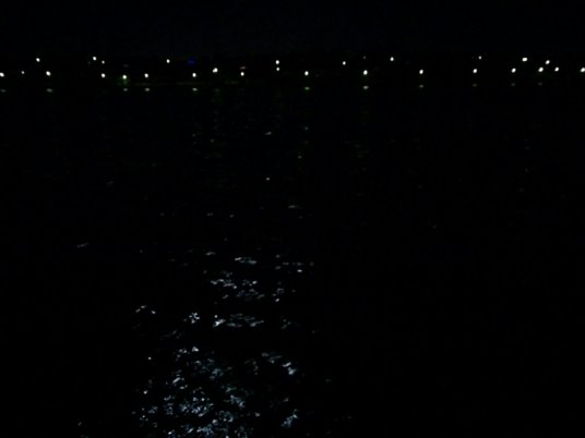 IMG_20140117_015810.jpg image