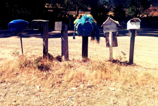 IMG_20140304_115148.jpg image