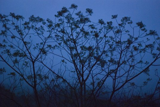 wp-1398909682049 image