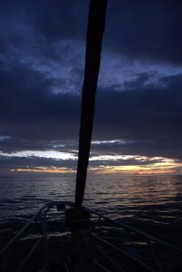 DSC_0329