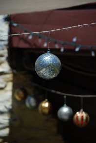 DSC_0124