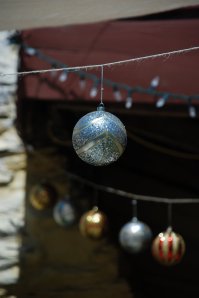 DSC_0124