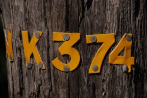 DSC_0133%2520%25281%2529