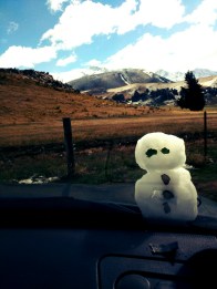 IMG_20150414_115951.jpg image