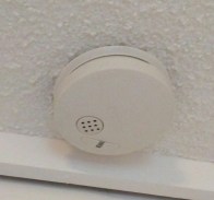 IMG_20150416_054449.jpg image