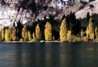 IMG_20150418_124522.jpg image