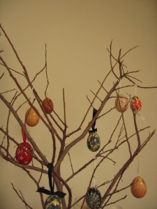 IMG_7689