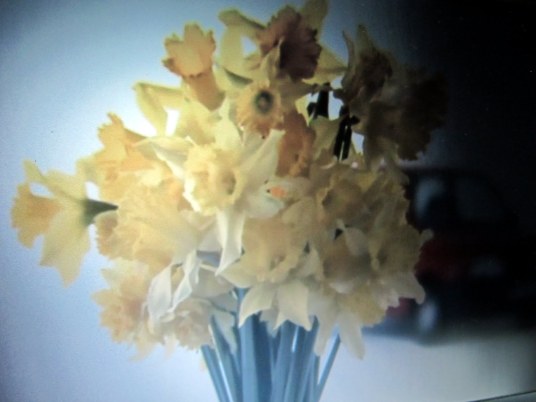 5514797241750533890.JPG image