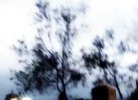 IMG_20150618_071506.jpg image