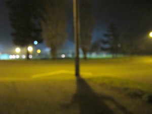 IMG_0116