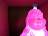 IMG_0860
