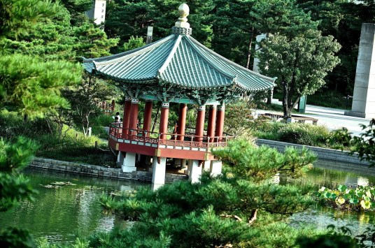 DSC_0118.JPG image