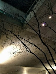 IMG_20160307_220006.jpg image