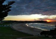 IMG_20160324_070556.jpg image
