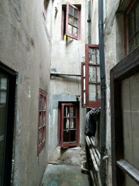 IMG_20160528_104245.jpg image