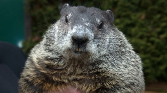 phil